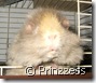 091108luki