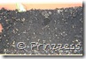 minze050508