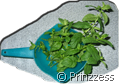 minze2