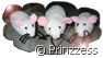 wmaus1