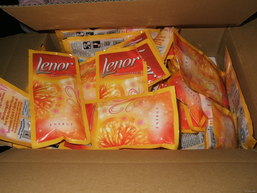 lenor041108.jpg